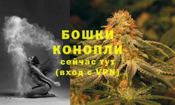 винт Богданович