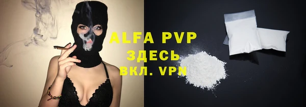молекула духа Бородино
