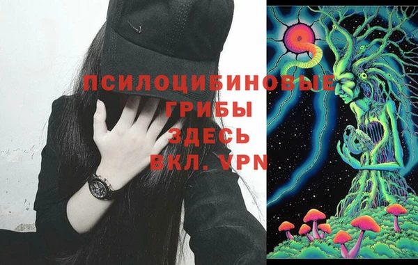 mdma Богородицк