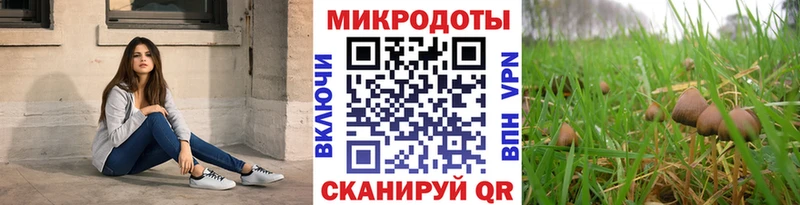 Псилоцибиновые грибы Magic Shrooms  наркошоп  Киселёвск 